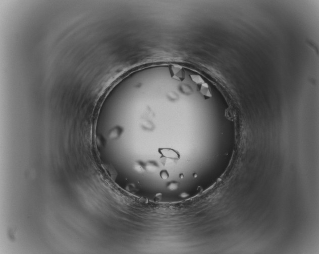 X0000100231220200806061401