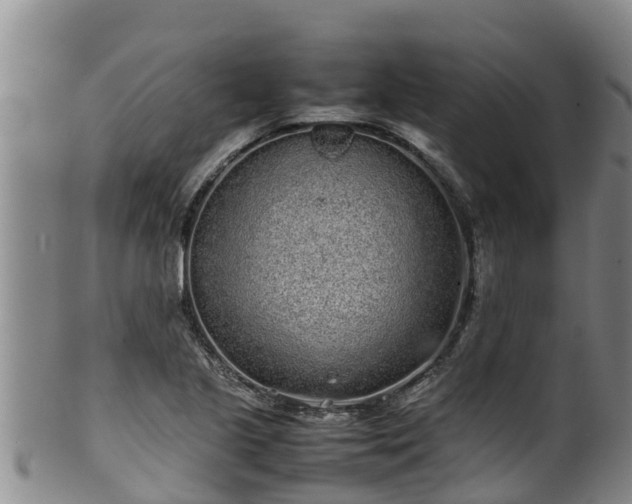 X0000100231221200806061401