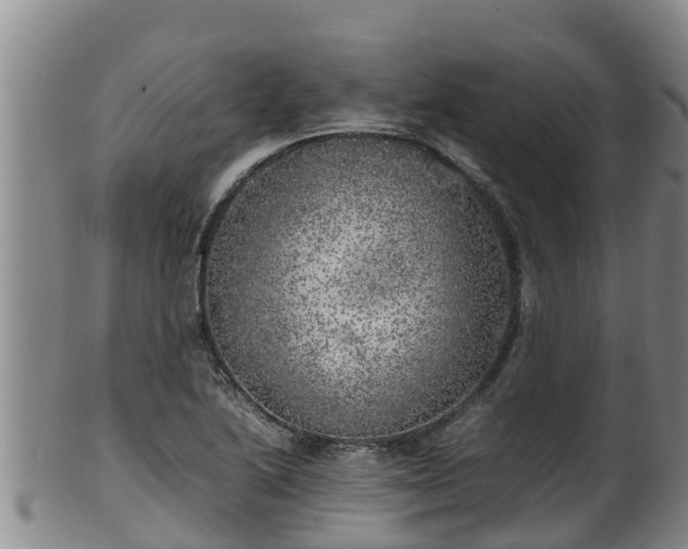 X0000100231222200806061401