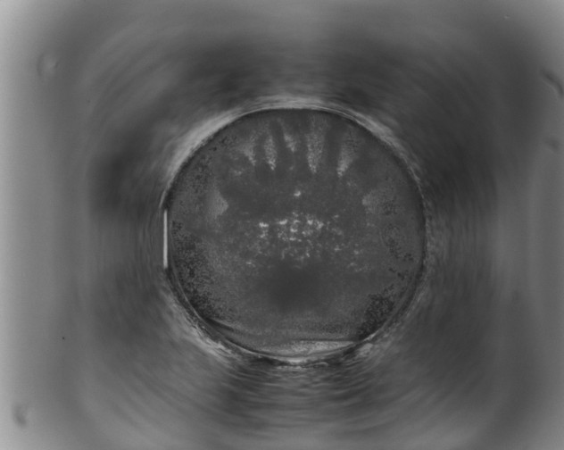 X0000100231223200806061401