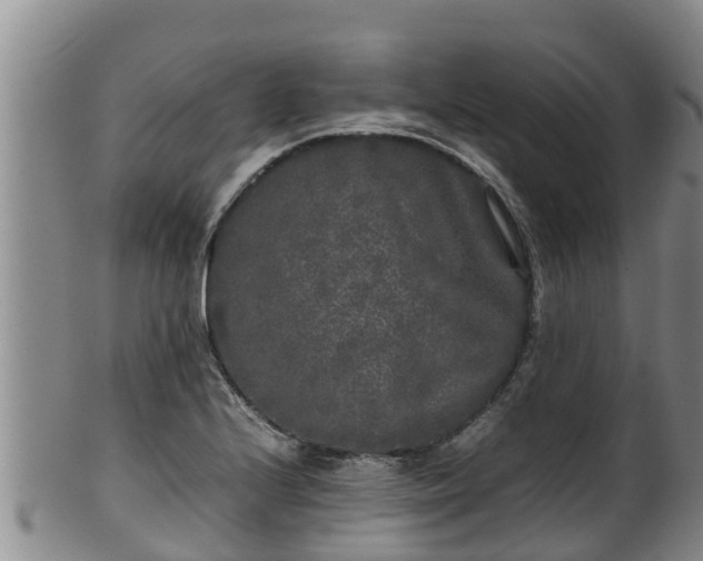 X0000100231224200806061401