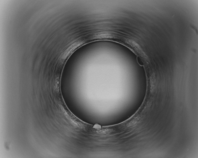 X0000100231225200806061401