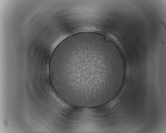 X0000100231226200806061401