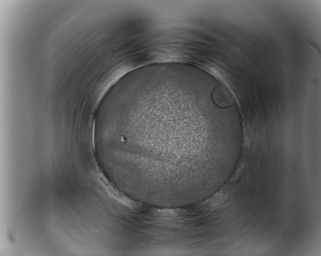 X0000100231227200806061401