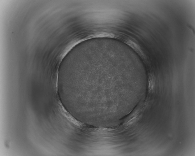 X0000100231228200806061401