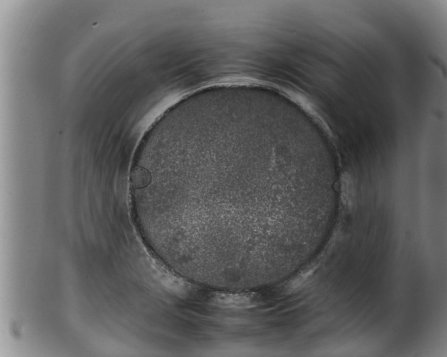 X0000100231229200806061401