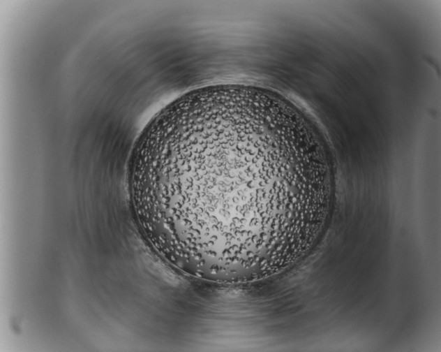 X0000100231230200806061401