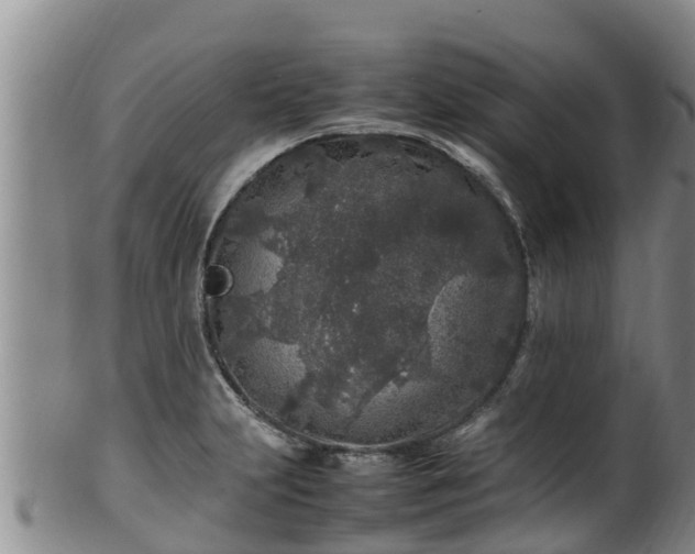 X0000100231231200806061401