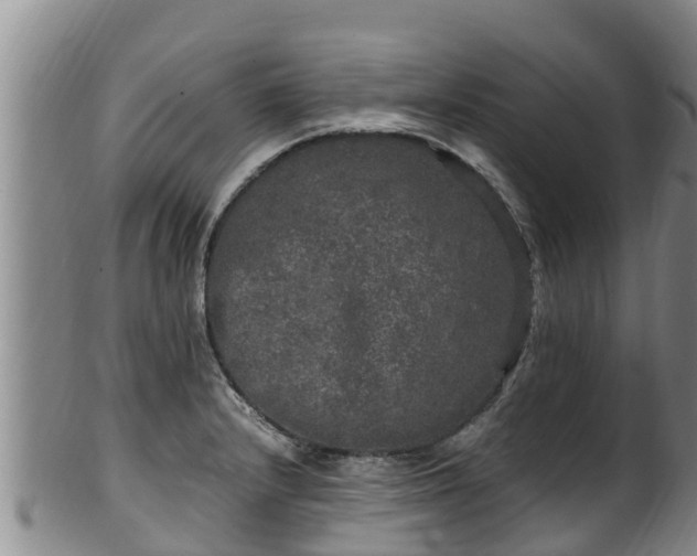 X0000100231232200806061401