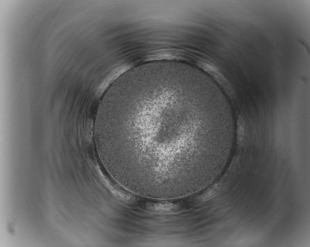 X0000100231233200806061401