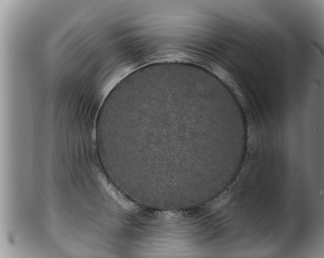 X0000100231234200806061401