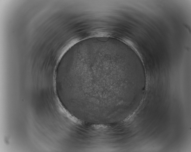 X0000100231235200806061401