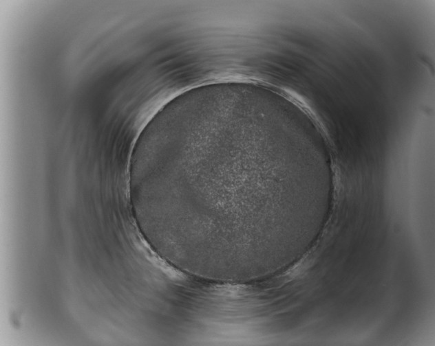 X0000100231236200806061401