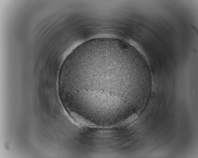 X0000100231237200806061401