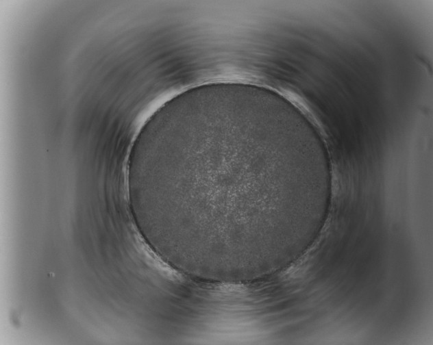 X0000100231238200806061401