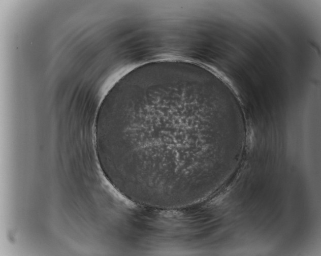 X0000100231239200806061401