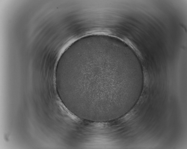 X0000100231240200806061401