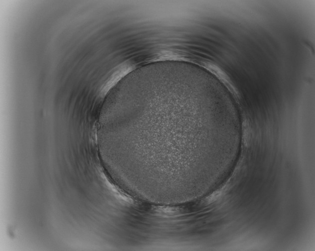 X0000100231241200806061401