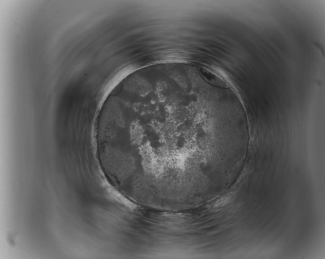 X0000100231243200806061401