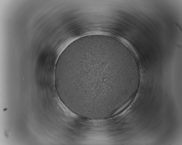 X0000100231244200806061401