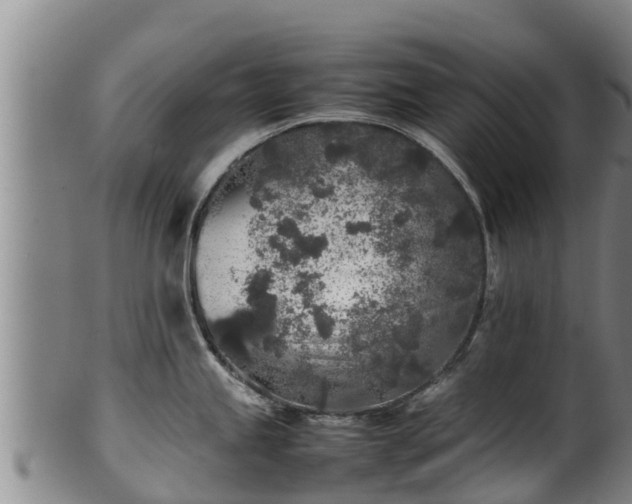 X0000100231245200806061401