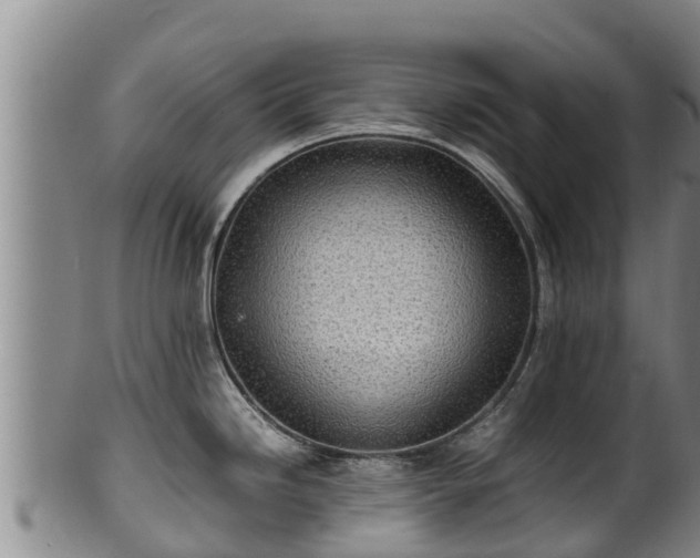 X0000100231246200806061401