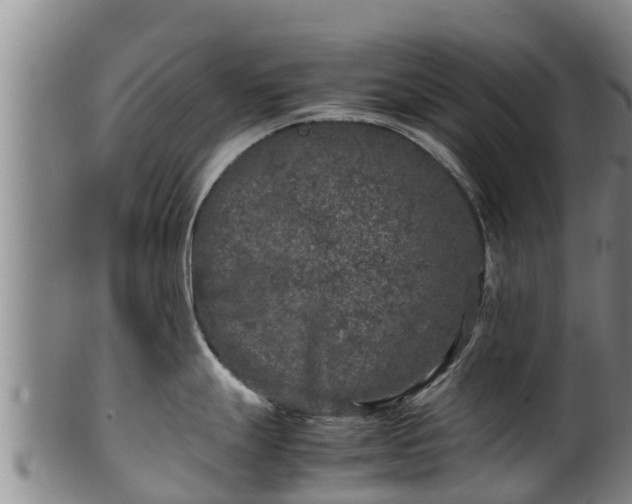 X0000100231247200806061401