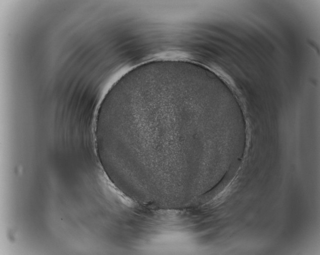 X0000100231248200806061401