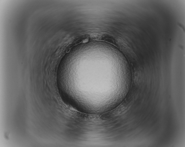 X0000100231249200806061400