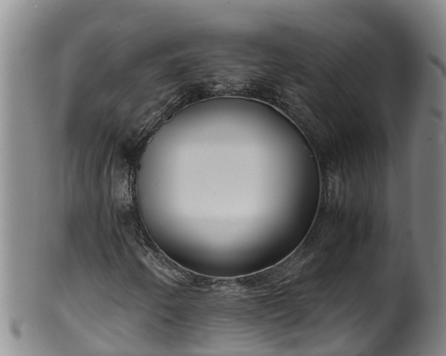 X0000100231250200806061400