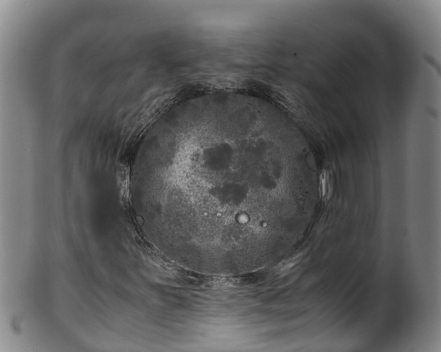 X0000100231251200806061400