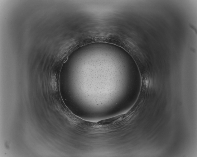 X0000100231252200806061400