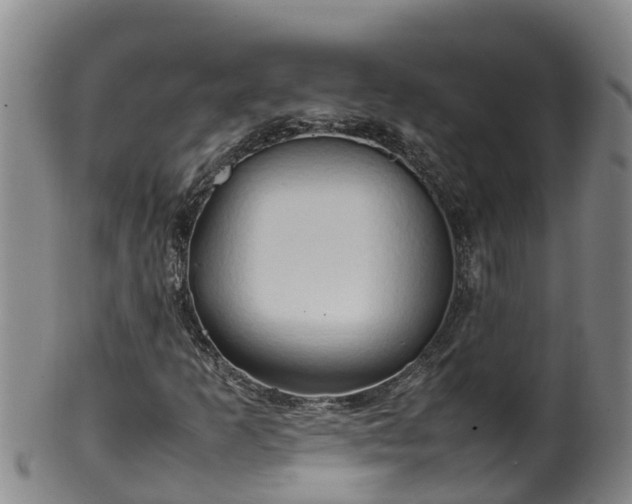 X0000100231253200806061400