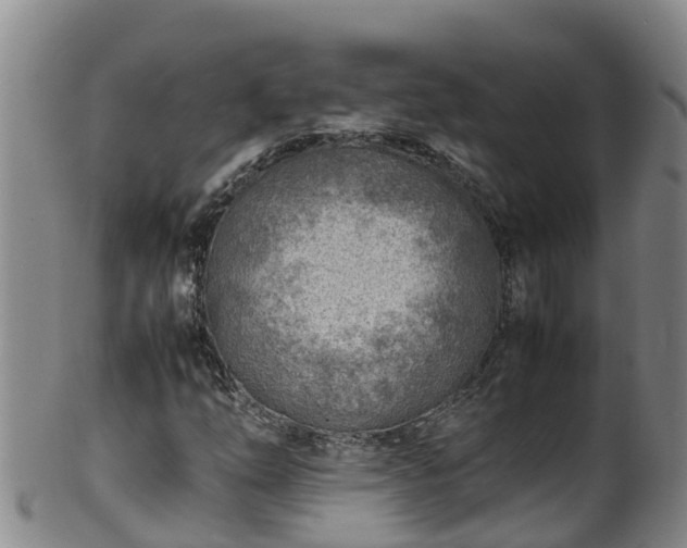 X0000100231254200806061400