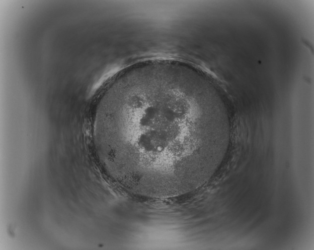 X0000100231255200806061400