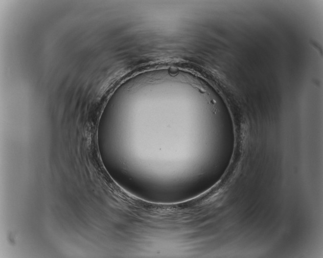 X0000100231257200806061400