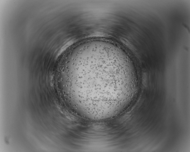 X0000100231258200806061400