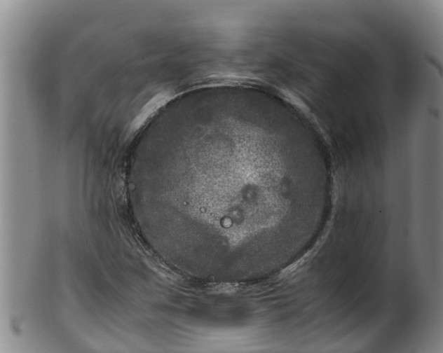 X0000100231259200806061400