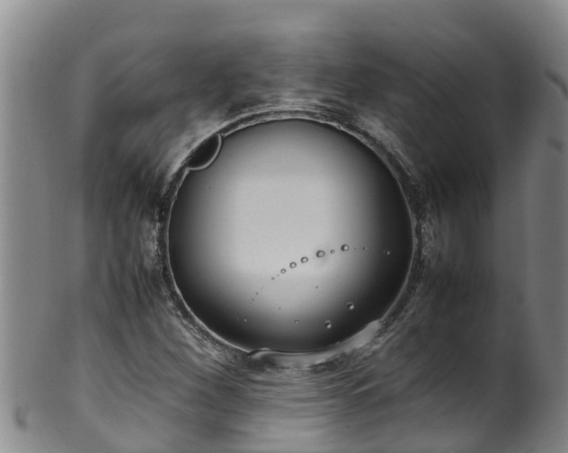 X0000100231260200806061400