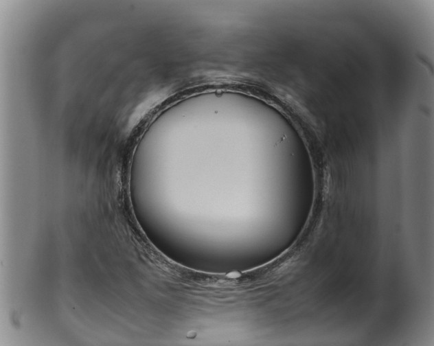 X0000100231261200806061400