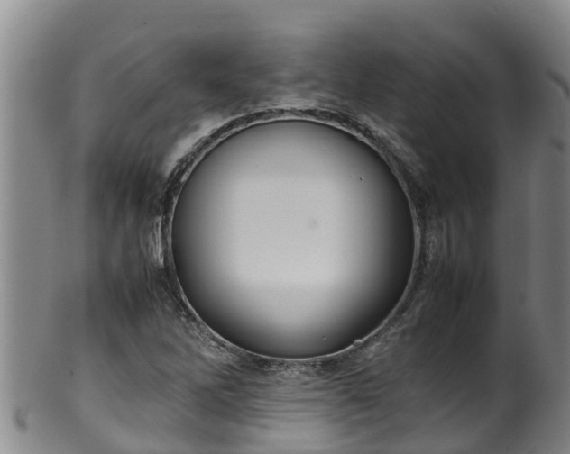 X0000100231262200806061400