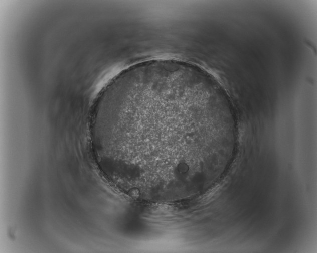 X0000100231263200806061400