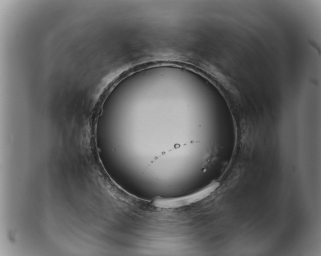 X0000100231264200806061400