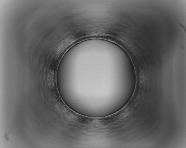 X0000100231265200806061400