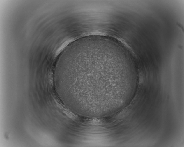 X0000100231266200806061400