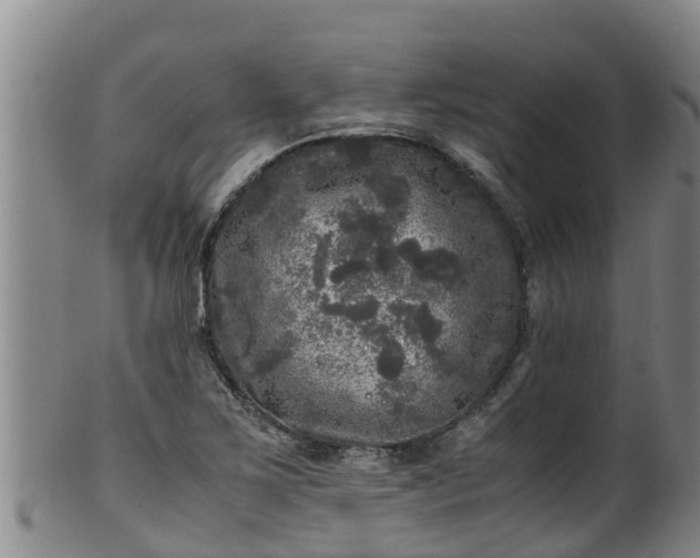 X0000100231267200806061400