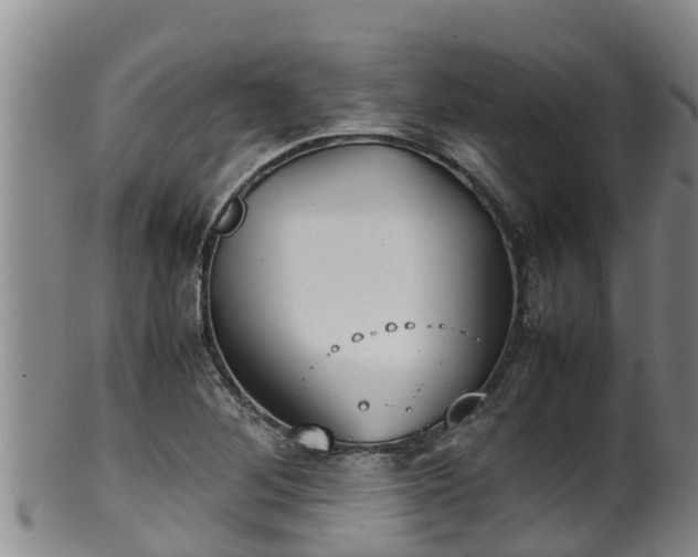 X0000100231268200806061400