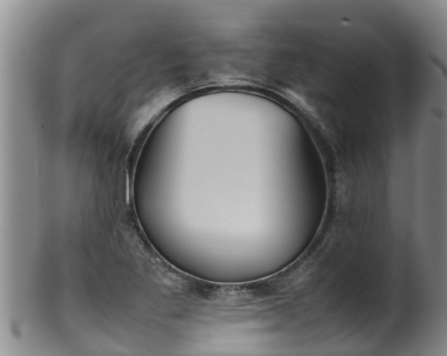 X0000100231269200806061400