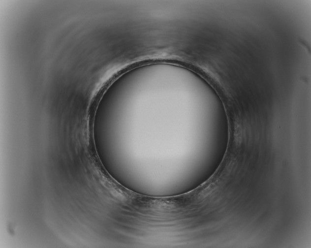 X0000100231270200806061400