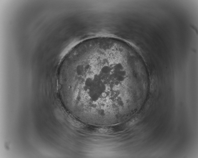 X0000100231271200806061400